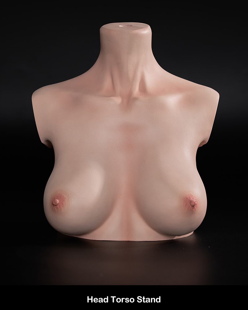 head torso stand