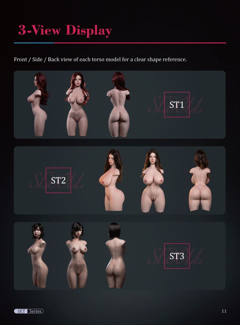 SEDOLL SET Series Torsos three bodies displayed